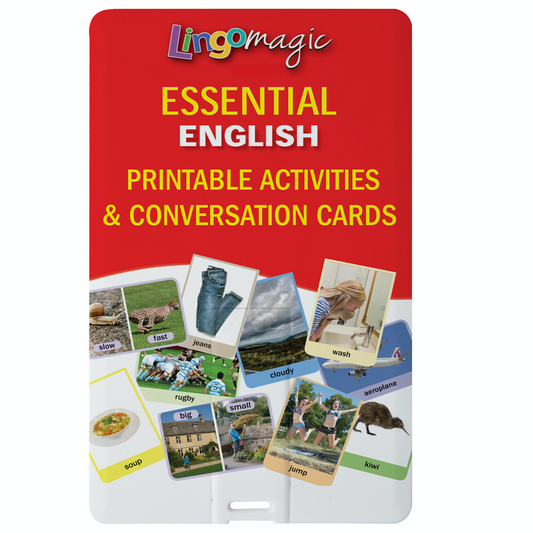 Activities | LINGOMAGIC – USB card